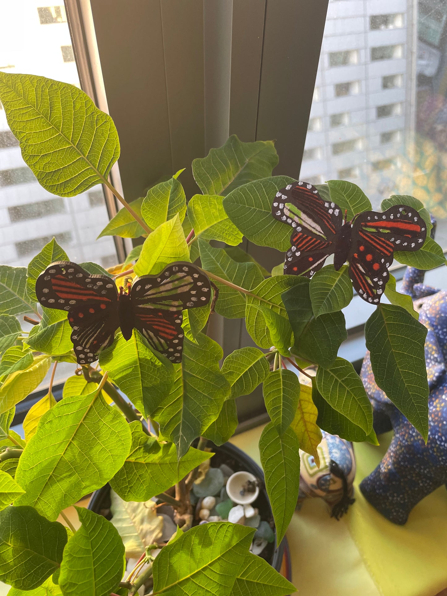 African Butterfly Earrings